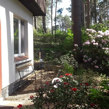 Prázdninový dům Ferienhaus Am Grossen Mochowsee, Oberer Spreewald *